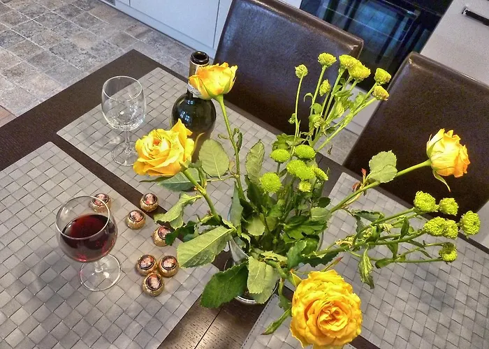 公寓 格但斯克豪华公寓 *